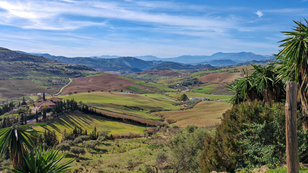 Finca - Cortijo Villanueva De La Concepcion Málaga - image 61