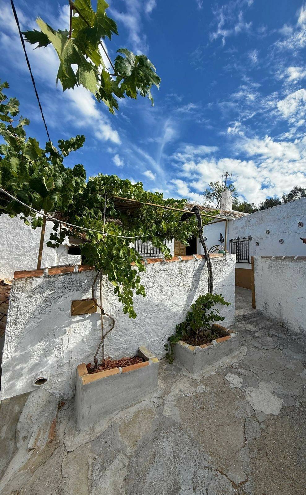 Finca - Cortijo Villanueva de Algaidas Málaga - image 62