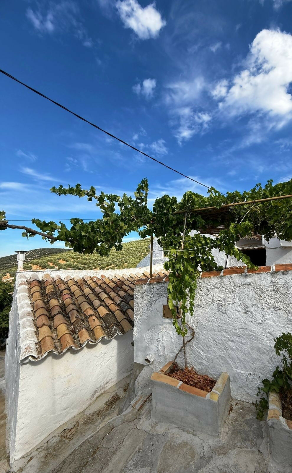 Finca - Cortijo Villanueva de Algaidas Málaga - image 63