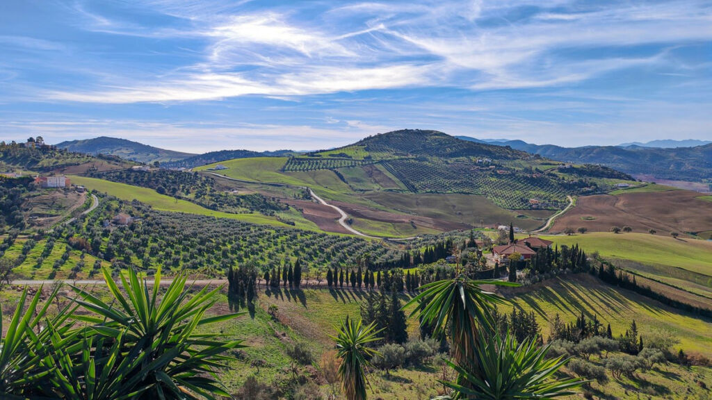 Finca - Cortijo Villanueva De La Concepcion Málaga - image 62
