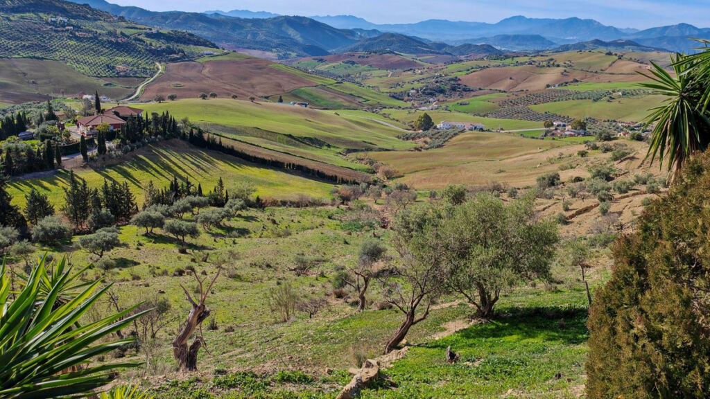 Finca - Cortijo Villanueva De La Concepcion Málaga - image 63