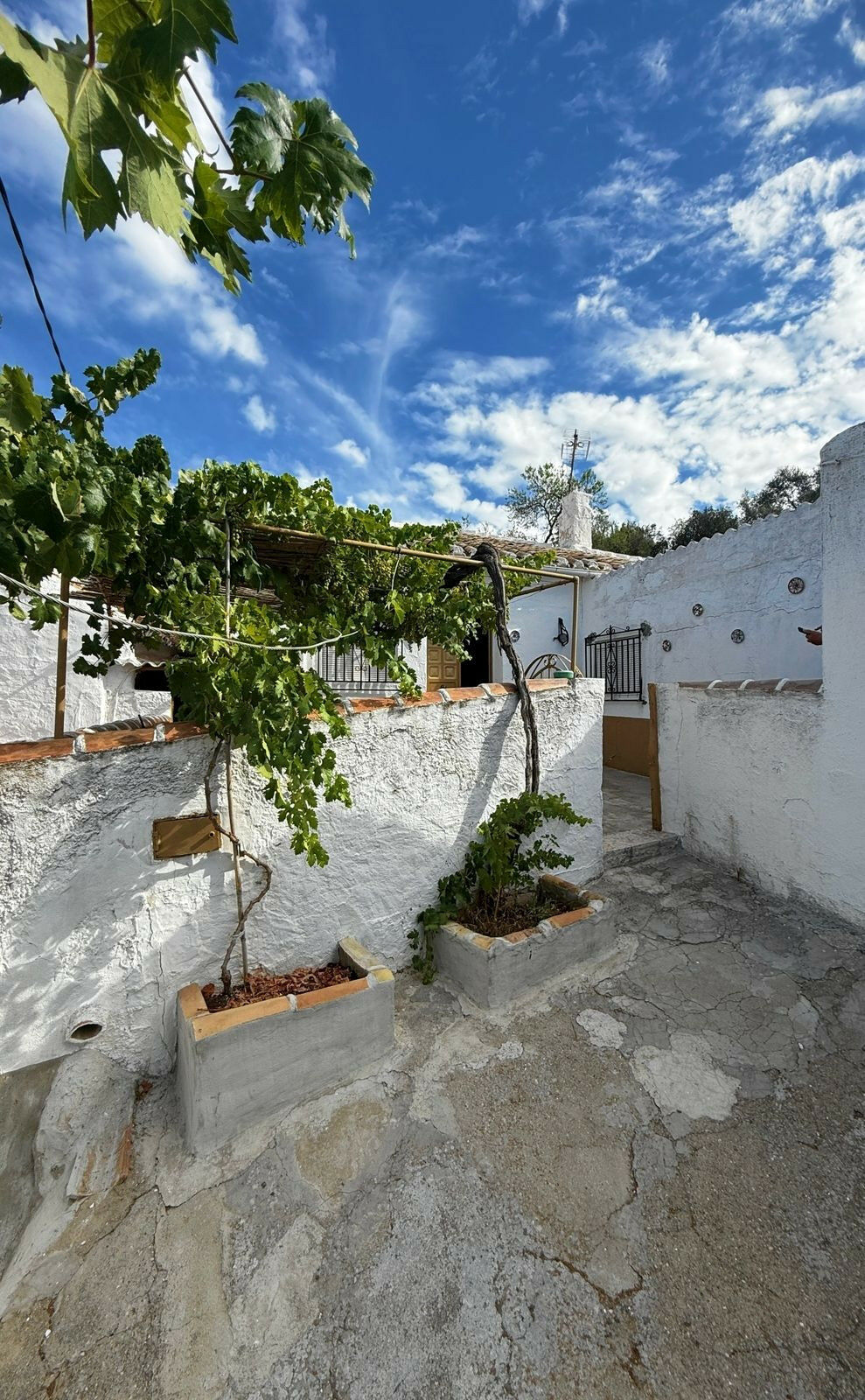 Finca - Cortijo Villanueva de Algaidas Málaga - image 65