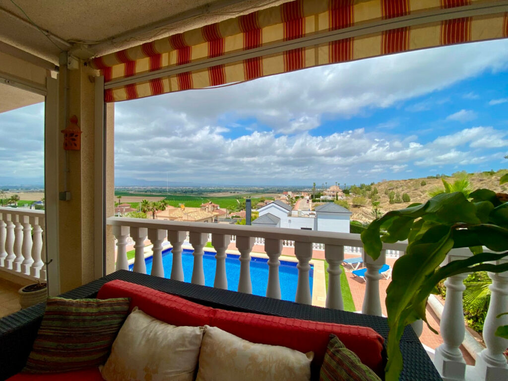 Detached Villa Algorfa Alicante - image 66