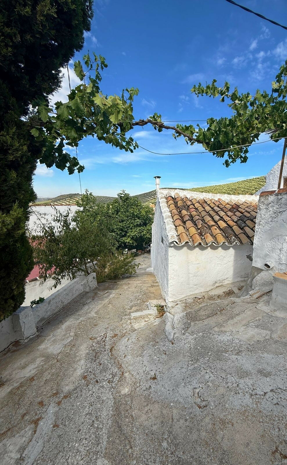 Finca - Cortijo Villanueva de Algaidas Málaga - image 67
