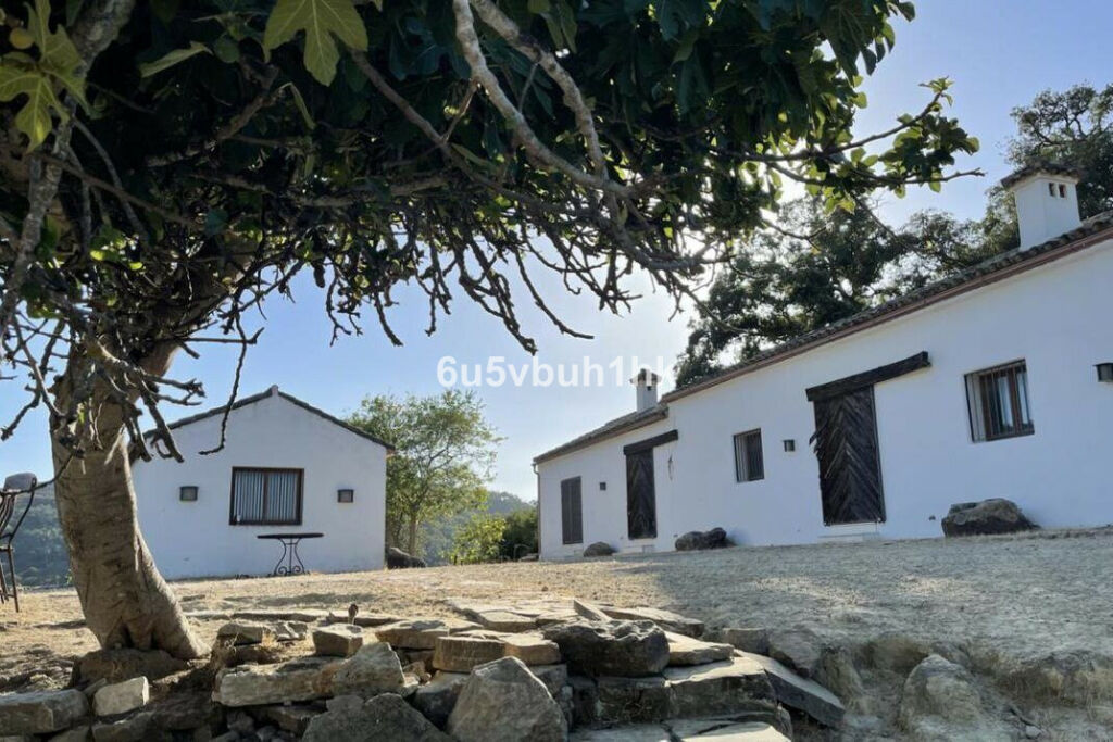 Finca - Cortijo Castellar de la Frontera Cádiz - image 7