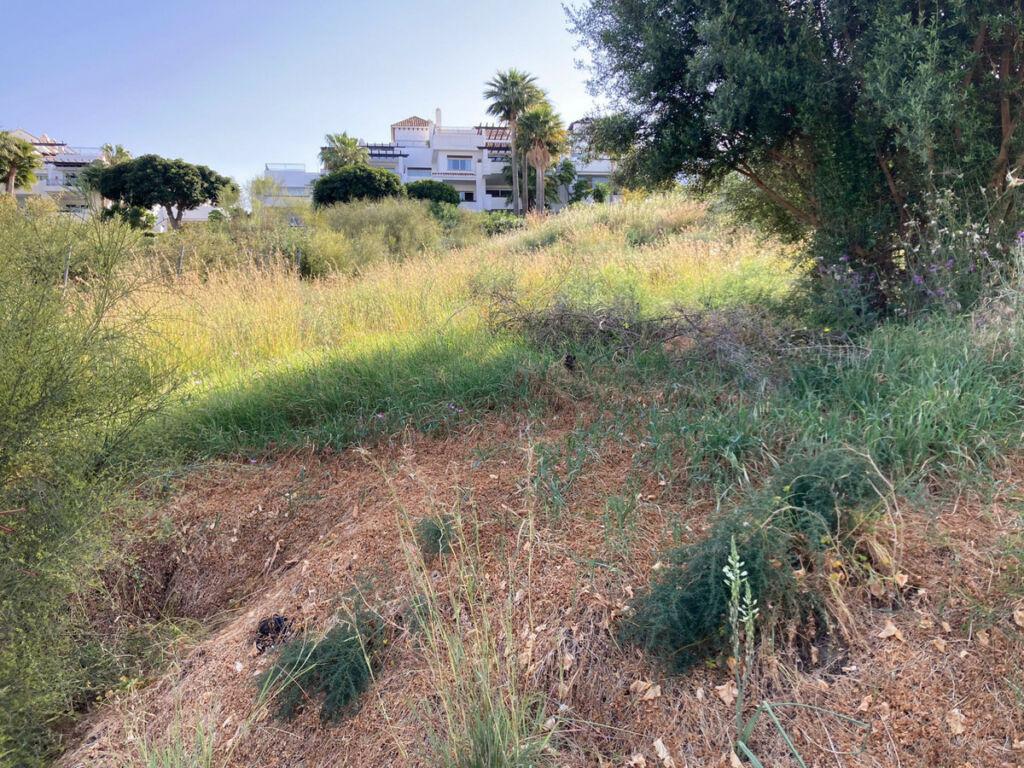 Land Benahavís Málaga - image 7