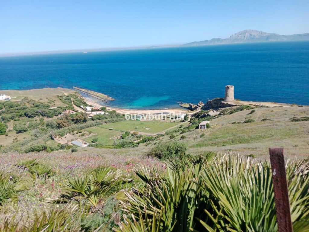 Land Tarifa Cádiz - image 7
