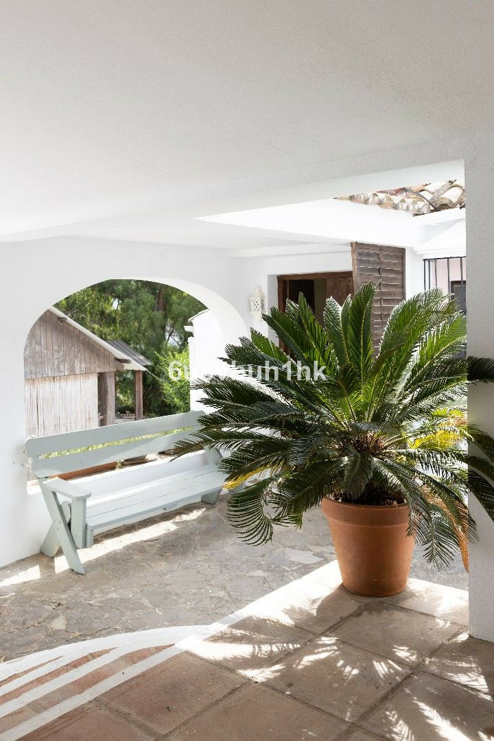 Finca - Cortijo Tarifa Cádiz - image 7