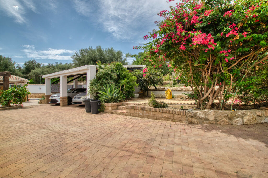 Detached Villa Periana Málaga - image 8