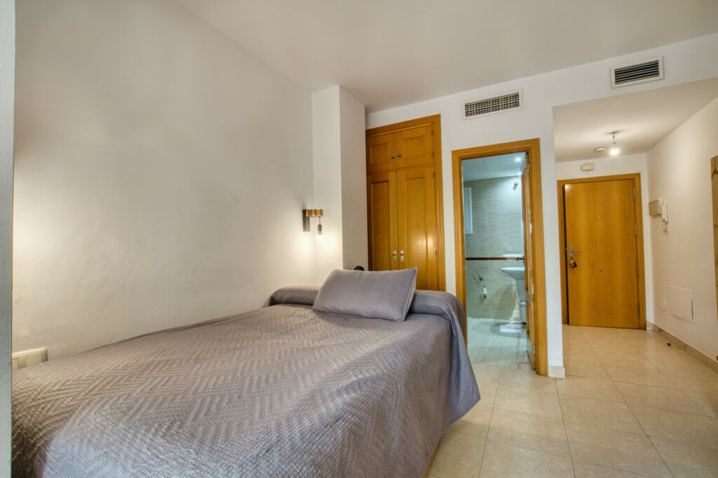 Ground Floor Studio Rincón de la Victoria Málaga - image 7