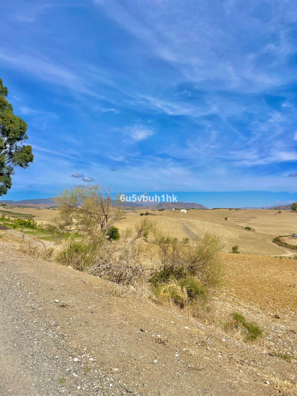 Land Cártama Málaga - image 7