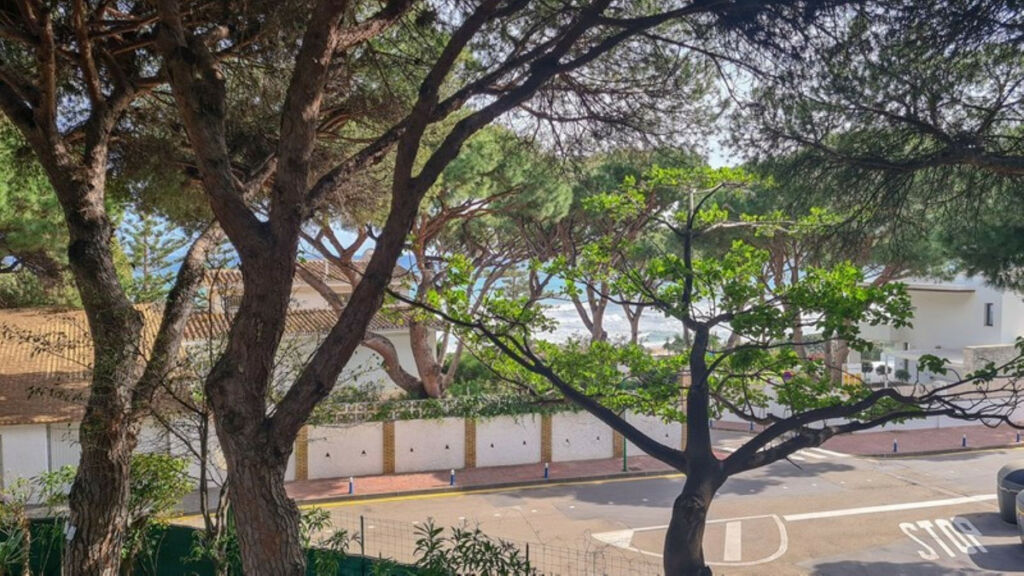 Detached Villa Cabopino Málaga - image 7