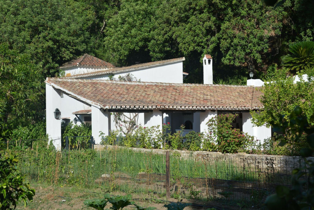Finca - Cortijo Gaucín Málaga - image 7