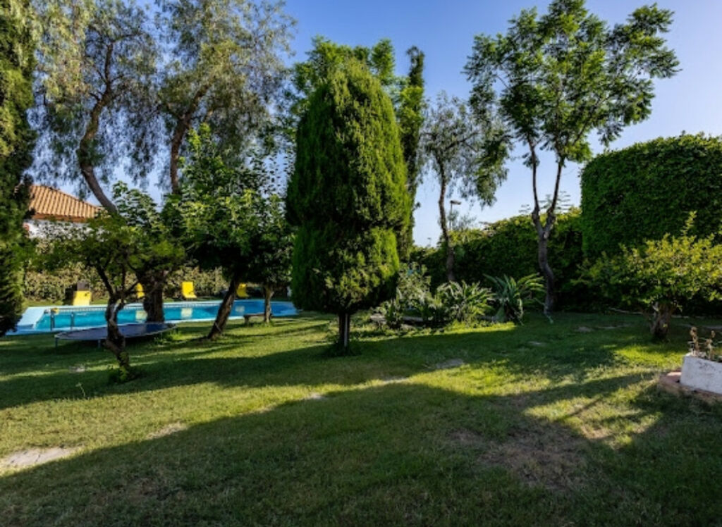 Detached Villa Marbella Málaga - image 7