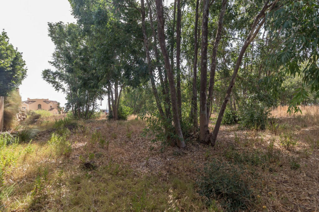 Residential Plot Manilva Málaga - image 7