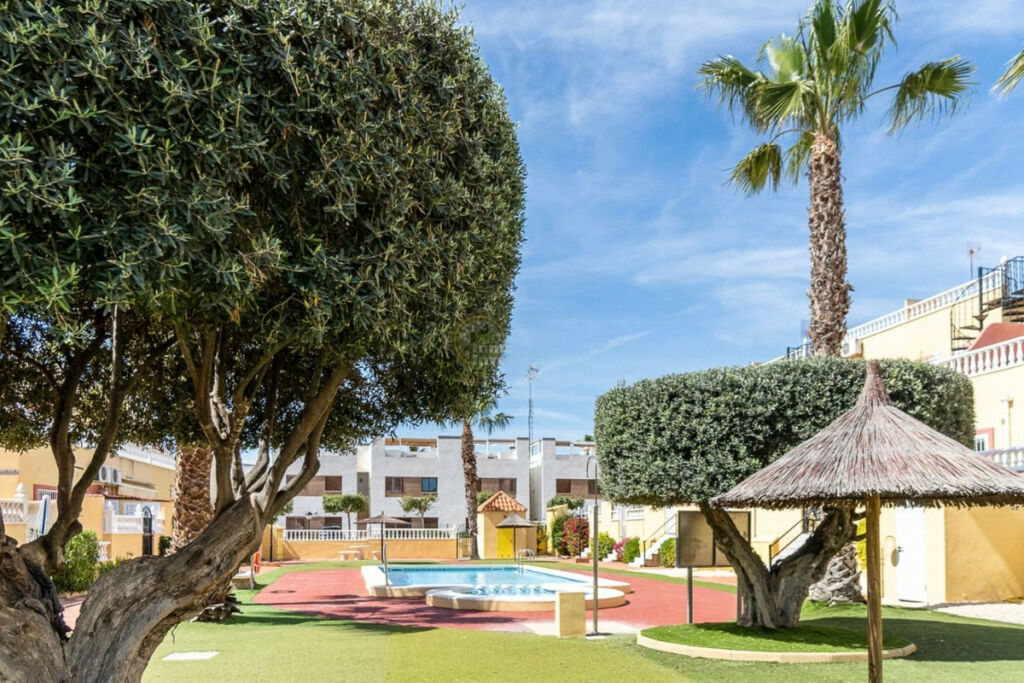 Ground Floor Apartment La Zenia Alicante - image 14