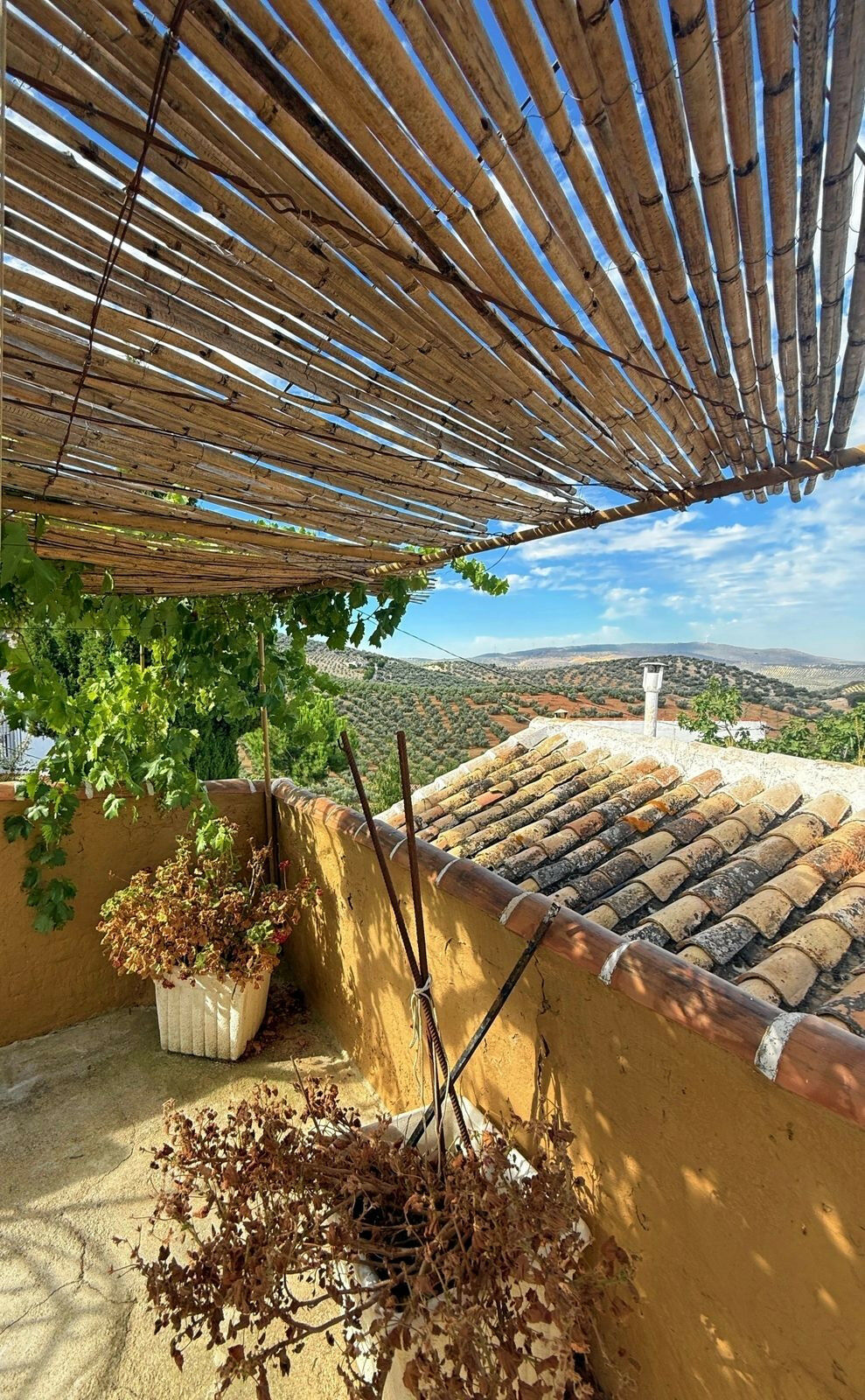 Finca - Cortijo Villanueva de Algaidas Málaga - image 70