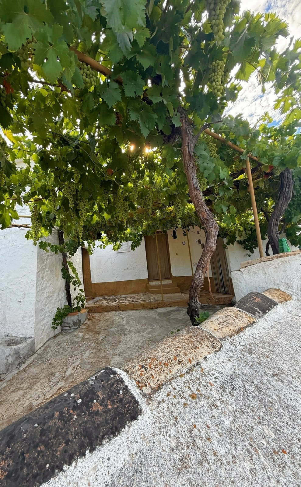 Finca - Cortijo Villanueva de Algaidas Málaga - image 71