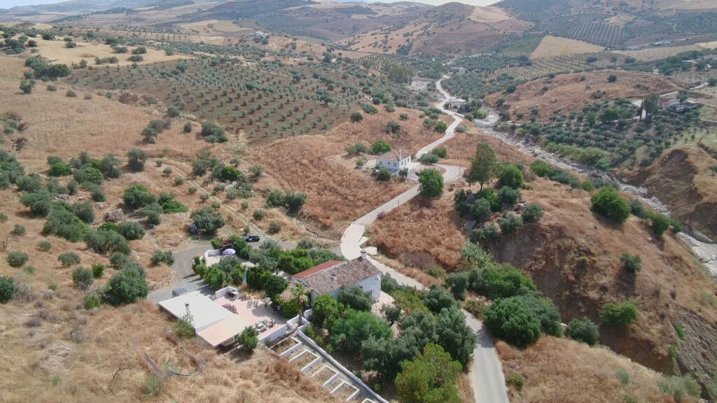 Finca - Cortijo Alora Málaga - image 69