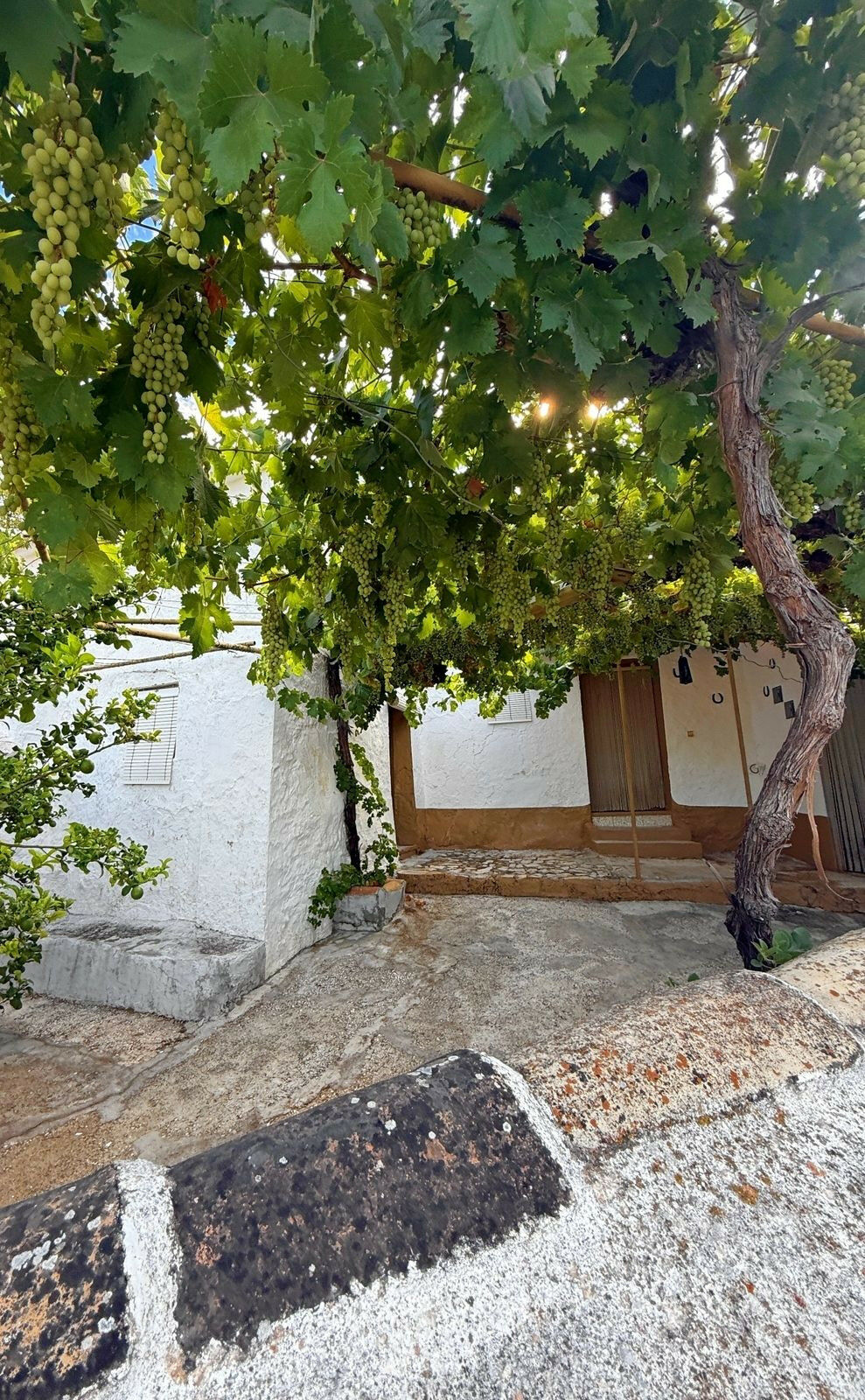 Finca - Cortijo Villanueva de Algaidas Málaga - image 72