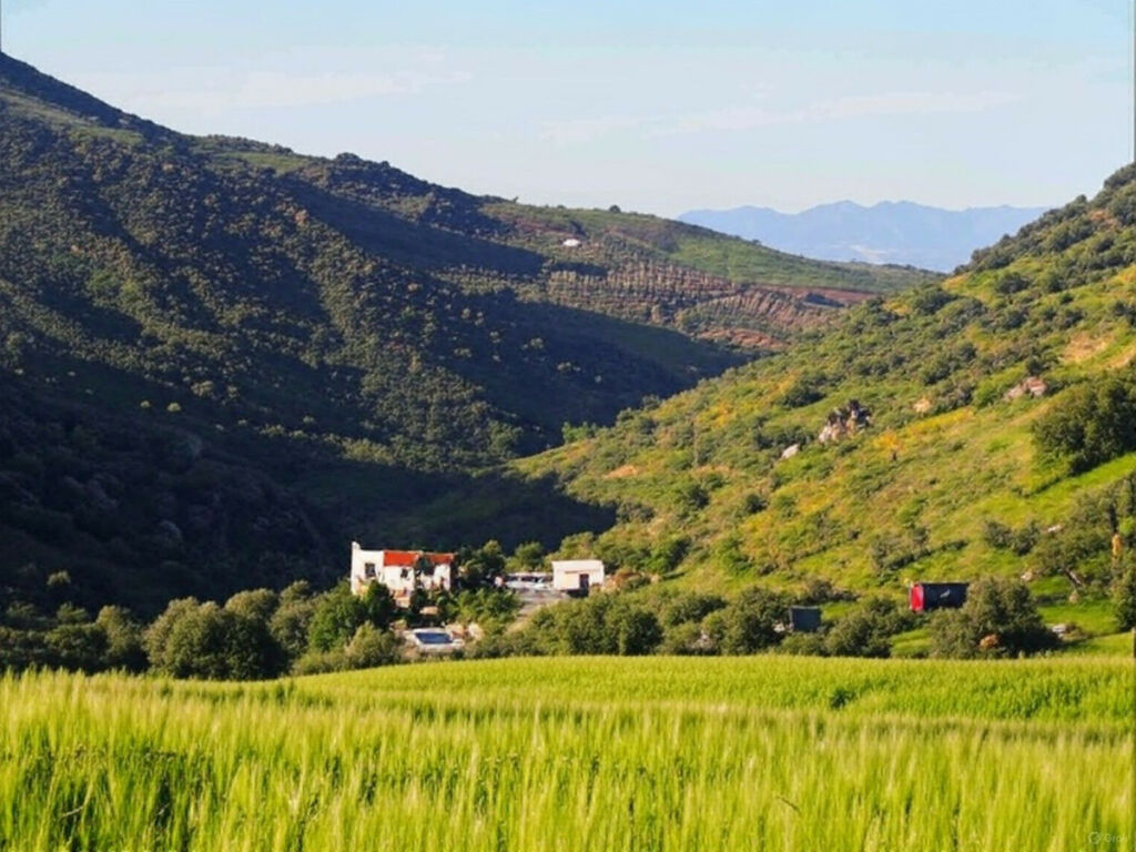 Finca - Cortijo Alora Málaga - image 73