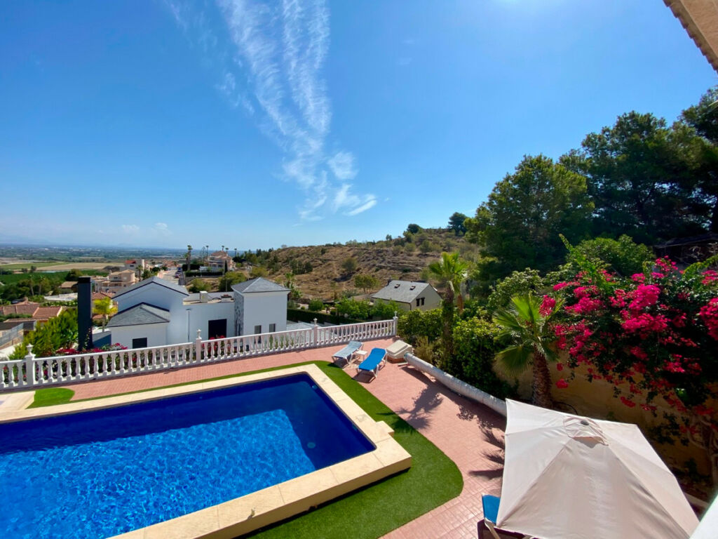 Detached Villa Algorfa Alicante - image 77