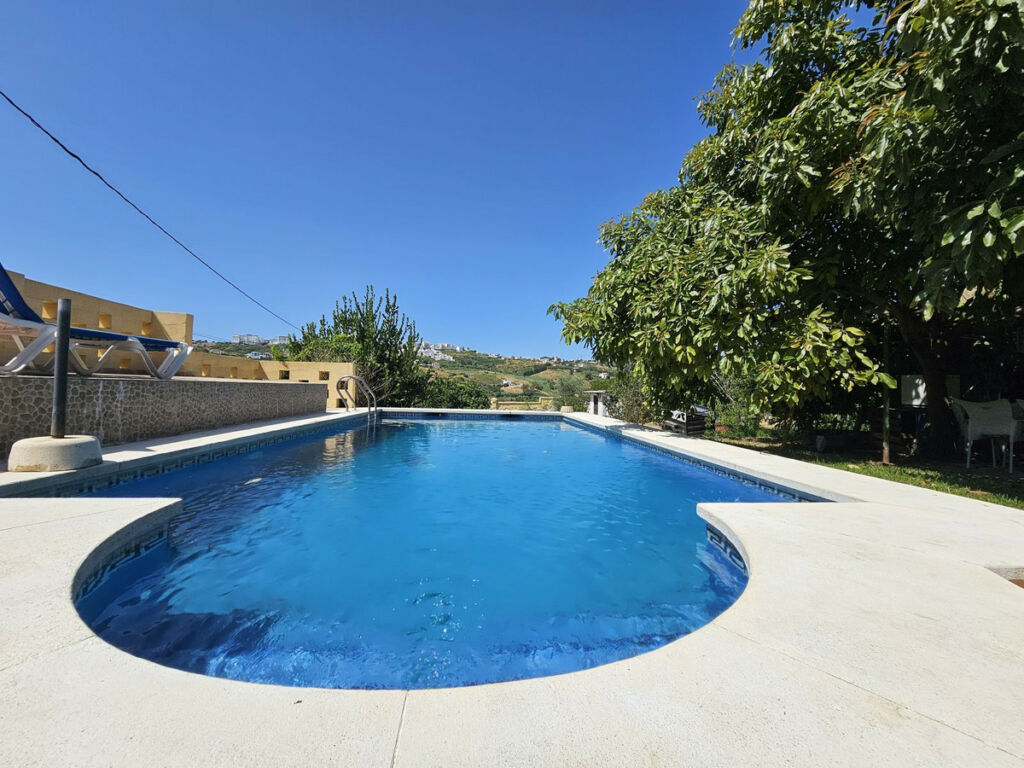 Detached Villa Casares Málaga - image 10