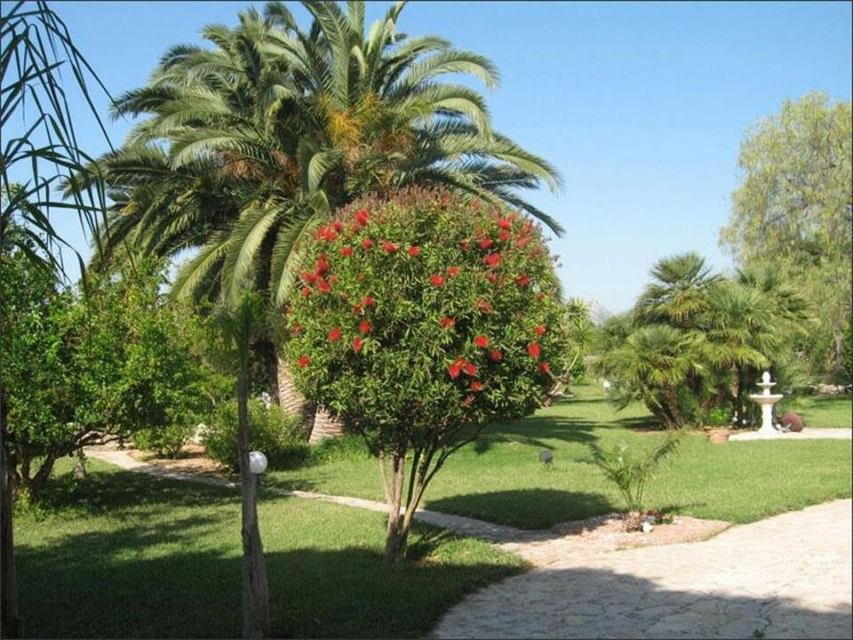 Detached Villa Denia Alicante - image 8
