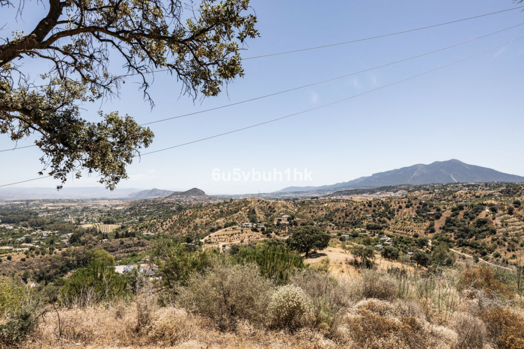 Land Coín Málaga - image 8