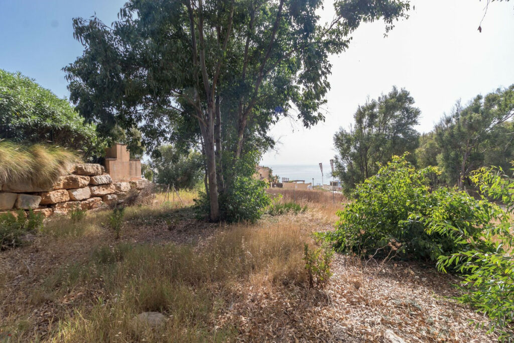 Residential Plot Manilva Málaga - image 8