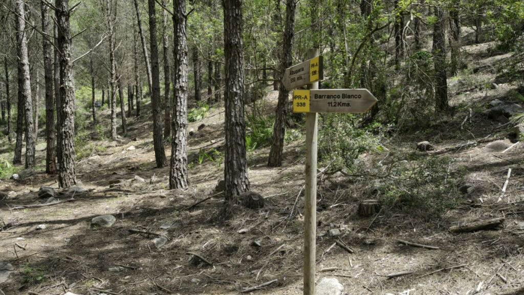 Land Coín Málaga - image 8