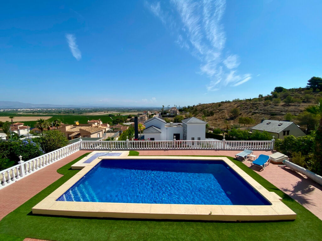 Detached Villa Algorfa Alicante - image 81