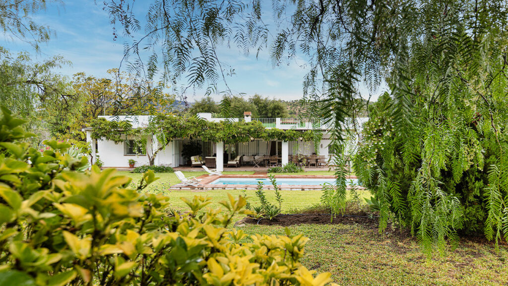 Finca - Cortijo San Pablo de Buceite Cádiz - image 9