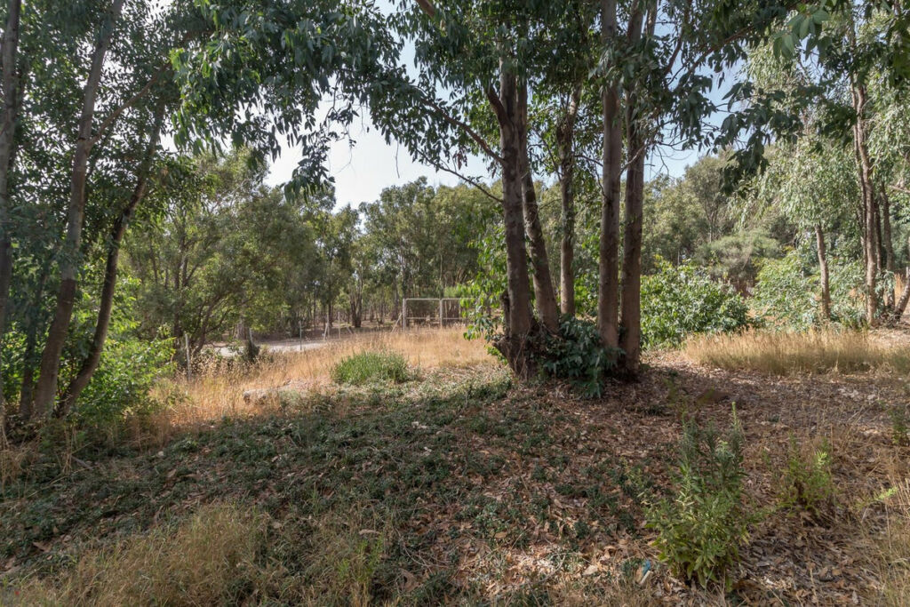Residential Plot Manilva Málaga - image 9