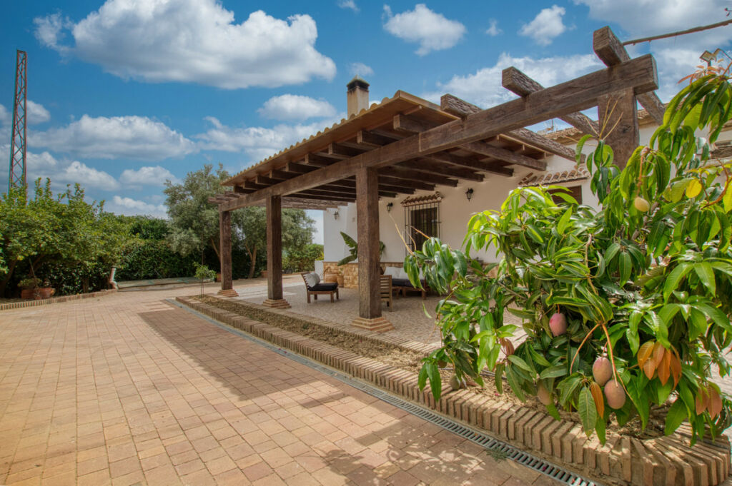 Detached Villa Periana Málaga - image 10