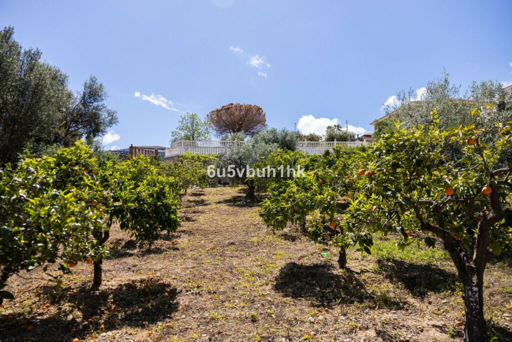 Land Alhaurín de la Torre Málaga - image 9
