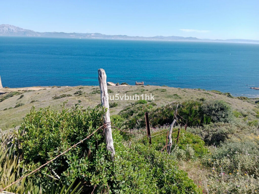 Land Tarifa Cádiz - image 9