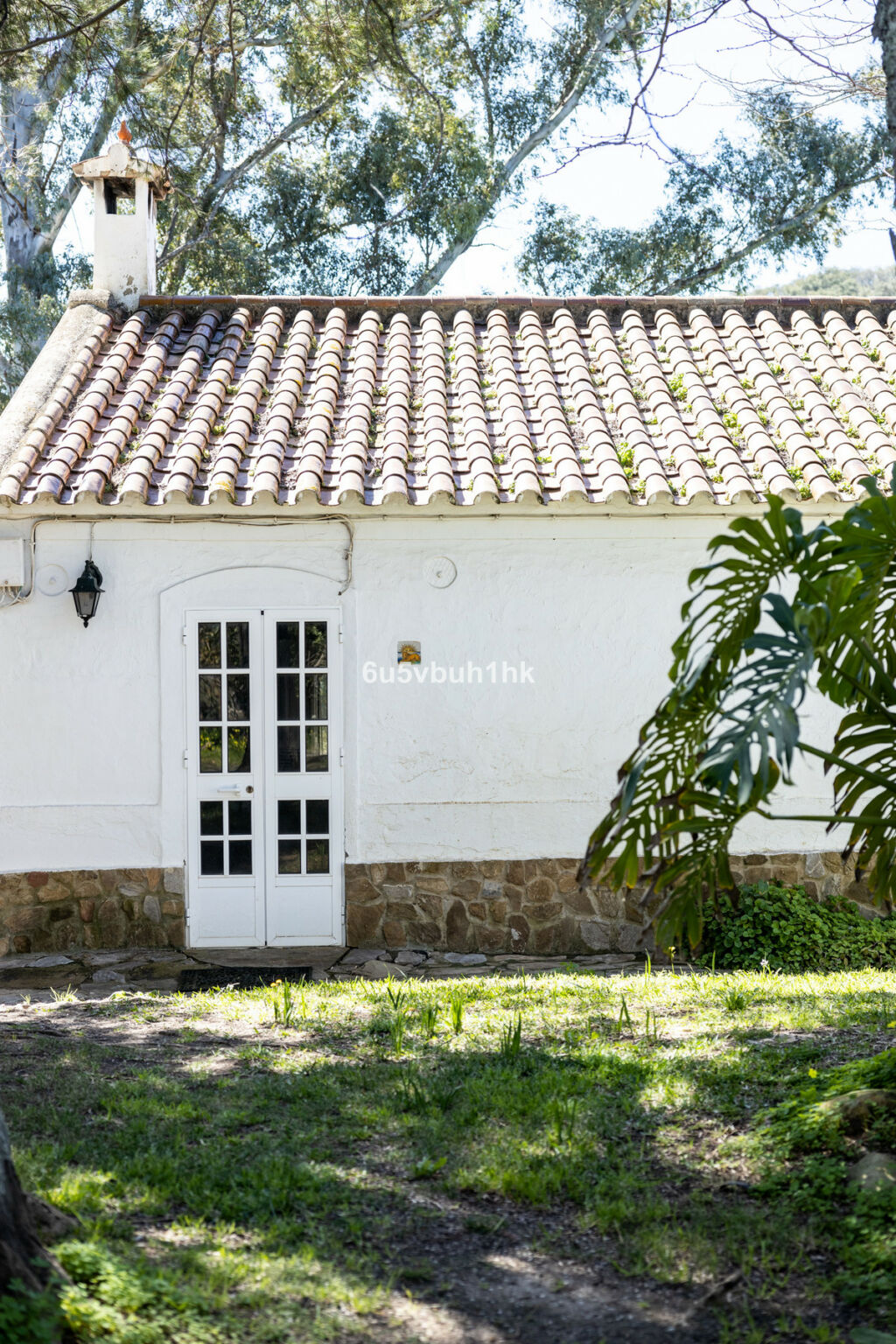 Finca - Cortijo Jimena de la Frontera Cádiz - image 9