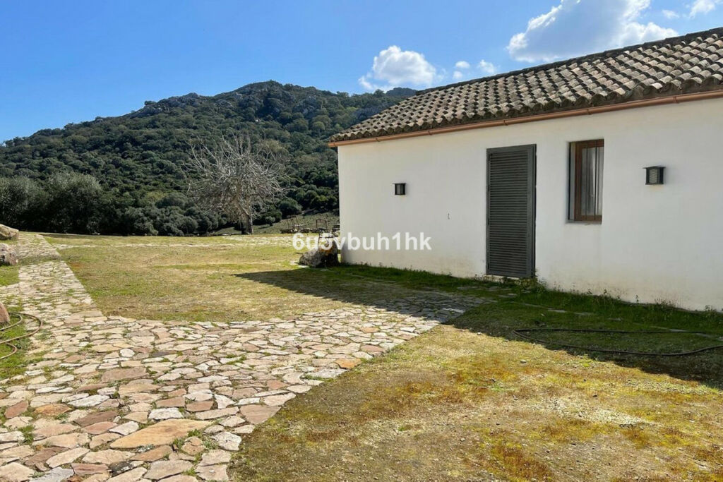 Finca - Cortijo Castellar de la Frontera Cádiz - image 9