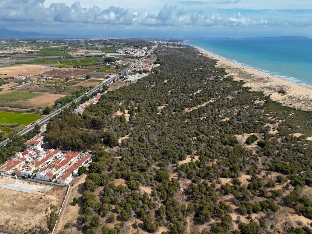 Ground Floor Apartment Guardamar del Segura Alicante - image 9