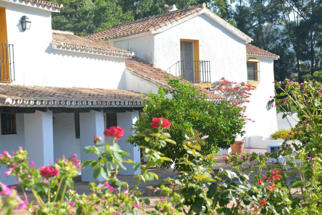 Finca - Cortijo Gaucín Málaga - image 9