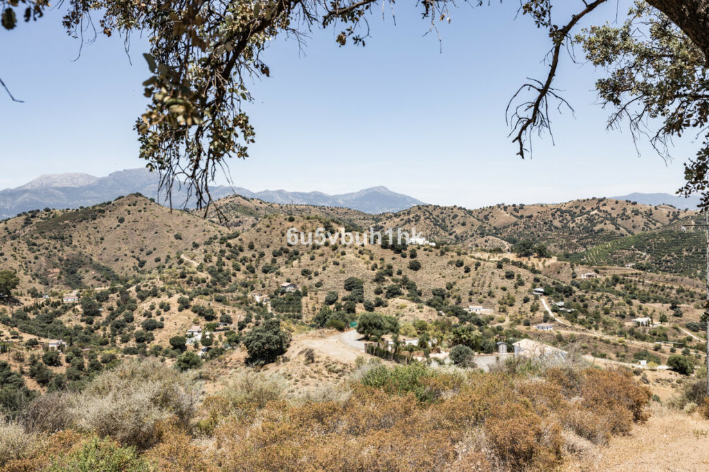 Land Coín Málaga - image 9