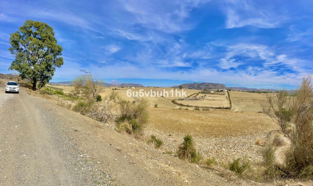 Land Cártama Málaga - image 9