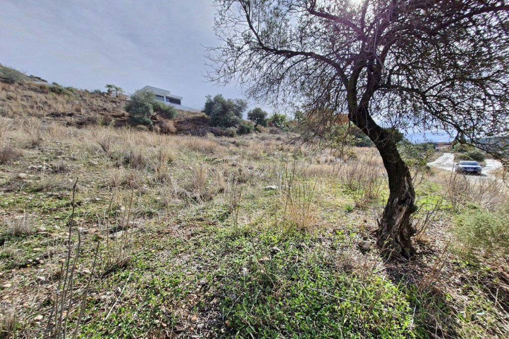 Residential Plot Coín Málaga - image 9