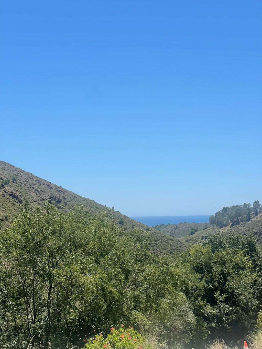 Land Ojén Málaga