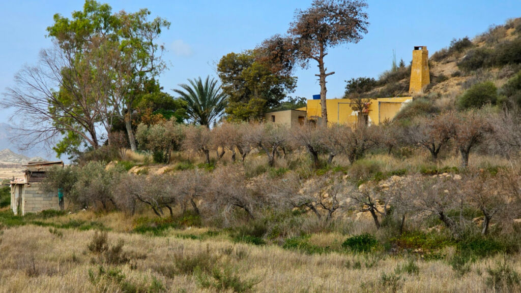 Finca - Cortijo El Cocon Murcia