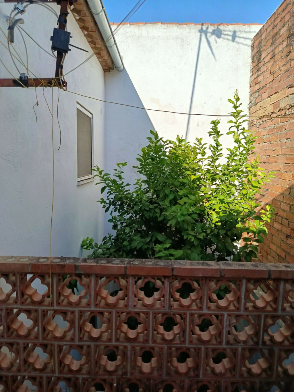 Semi-Detached House Jimena de la Frontera Cádiz