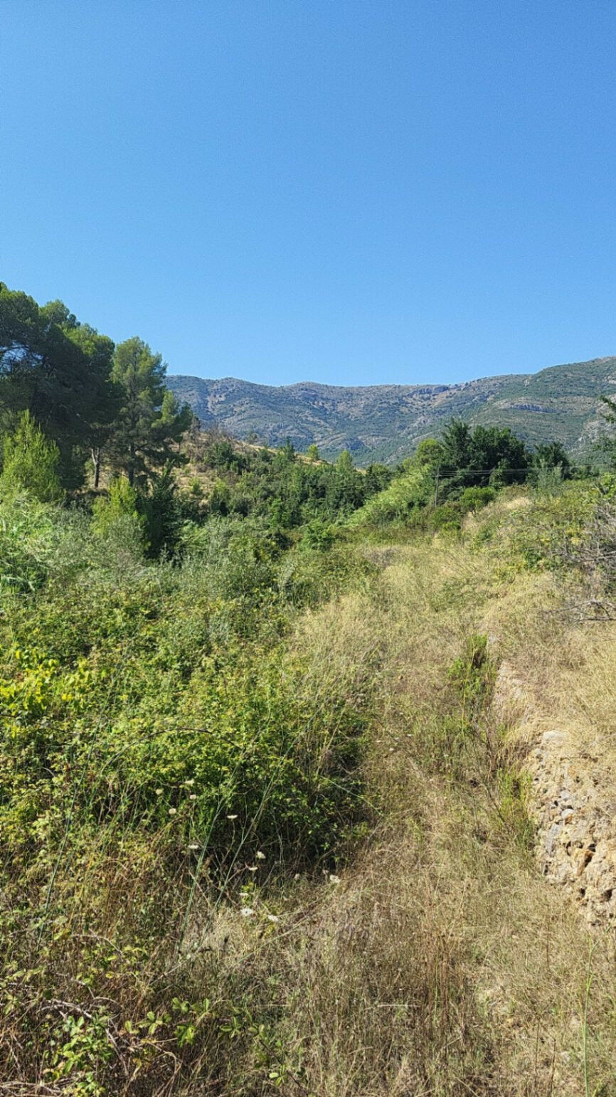 Land Parcent Alicante