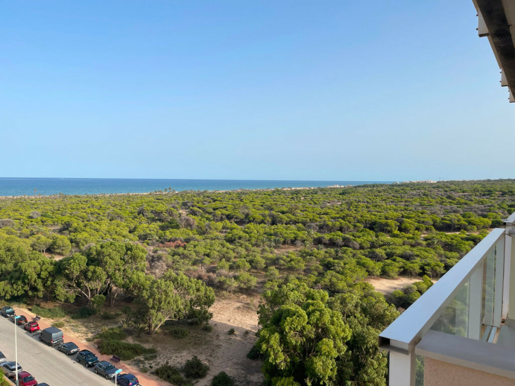 Penthouse Duplex Guardamar del Segura Alicante - image 7