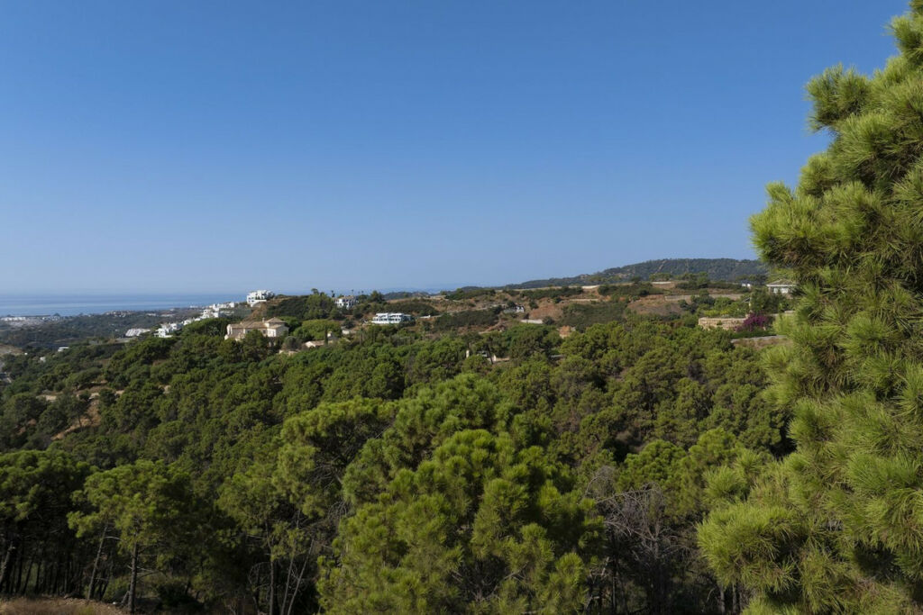 Residential Plot Benahavís Málaga - image 5
